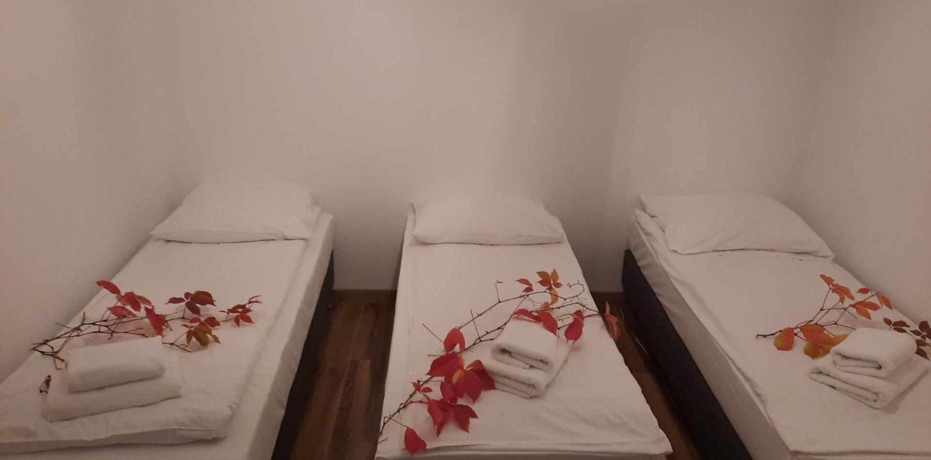 Sleepy3city 10 Lutego 23 Apartment